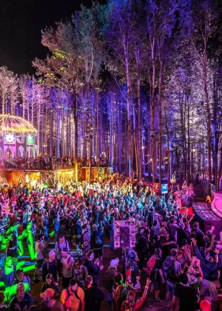 electric forest festival