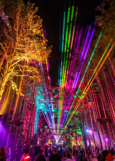 electric forest pretty lights